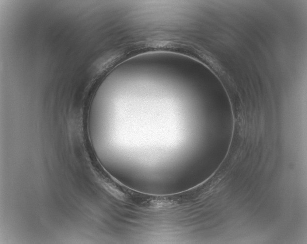 X0000054430442200508051837