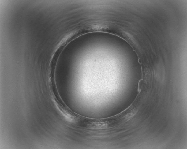 X0000054430443200508051837