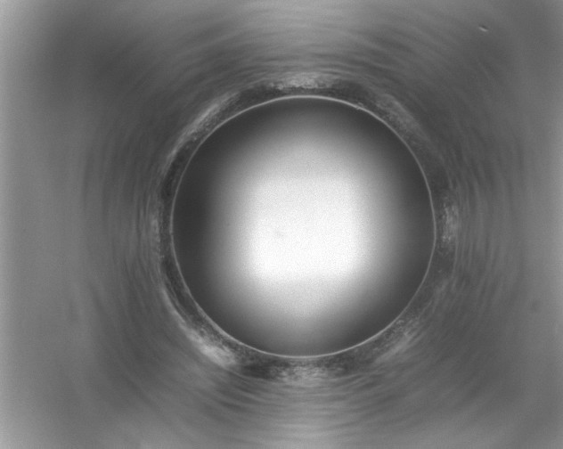 X0000054430444200508051837