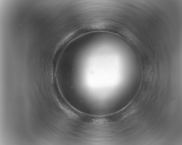 X0000054430446200508051837