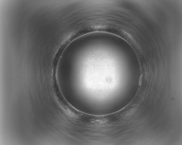 X0000054430447200508051837