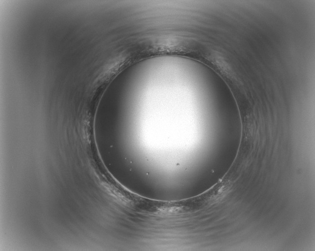 X0000054430450200508051837