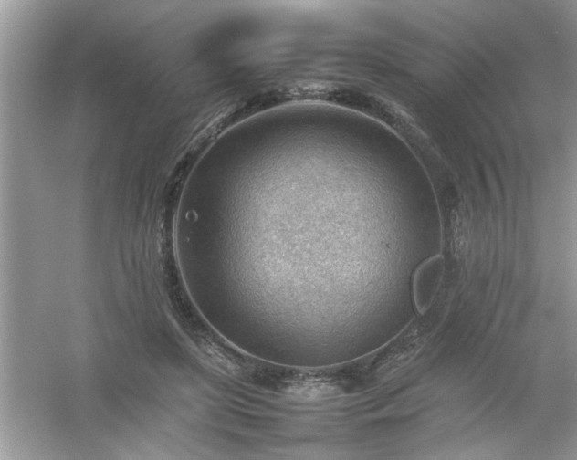 X0000054430451200508051837