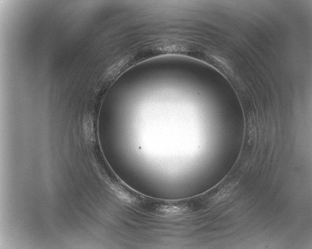 X0000054430453200508051837