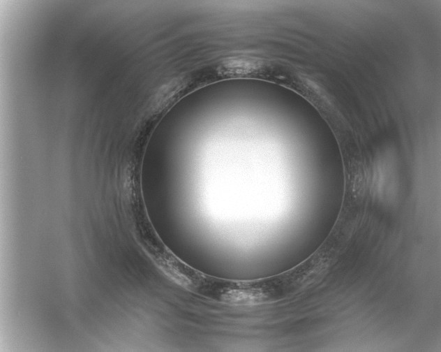 X0000054430455200508051837