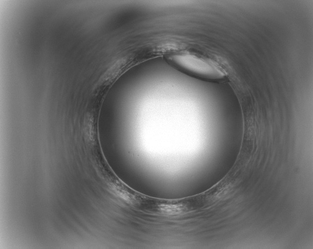 X0000054430457200508051837