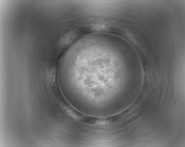 X0000054430458200508051837