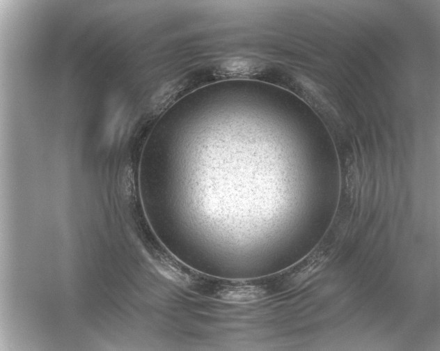 X0000054430459200508051837