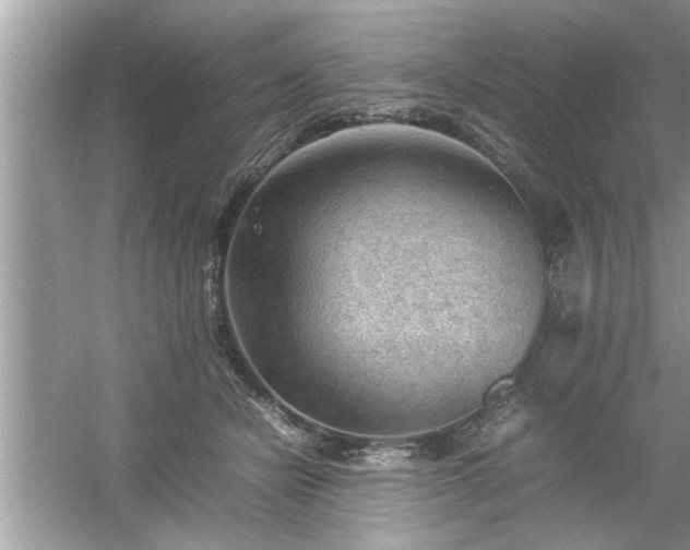 X0000054430462200508051837