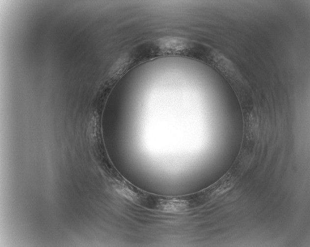 X0000054430463200508051837