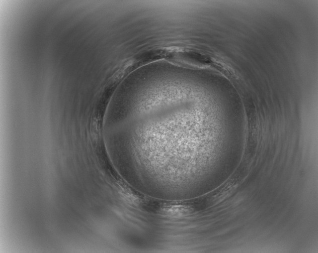 X0000054430467200508051837