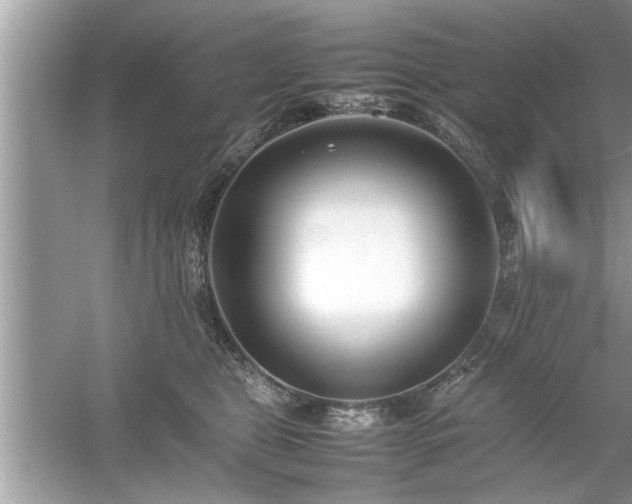 X0000054430469200508051837