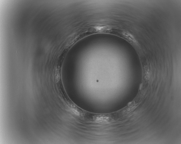 X0000054430471200508051837