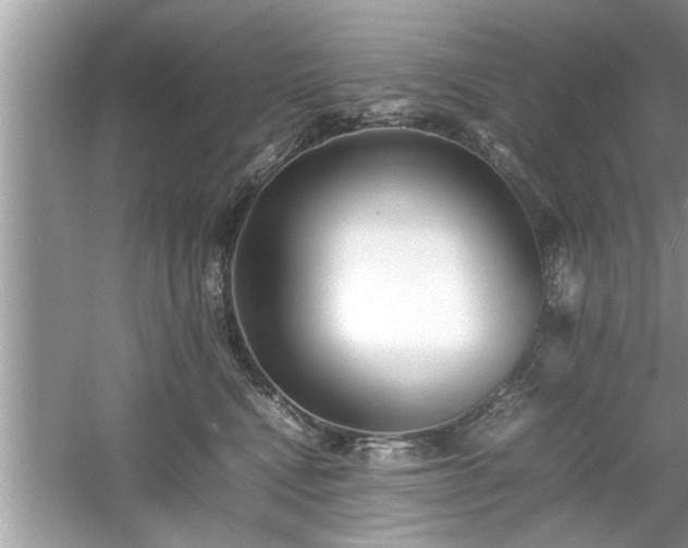 X0000054430472200508051837