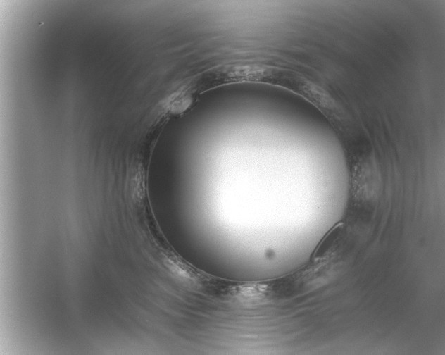 X0000054430474200508051837