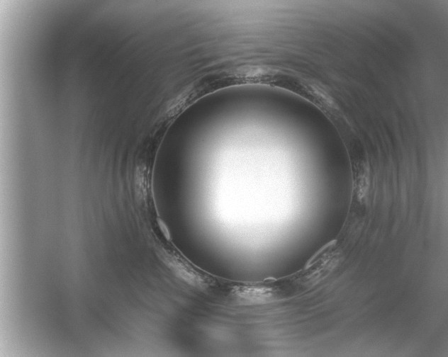 X0000054430476200508051837