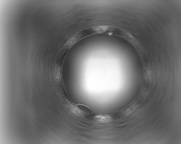 X0000054430477200508051837