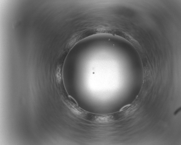 X0000054430479200508051837