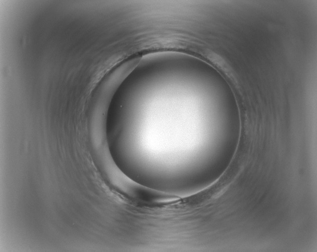 X0000054430481200508051837