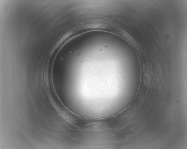 X0000054430482200508051837