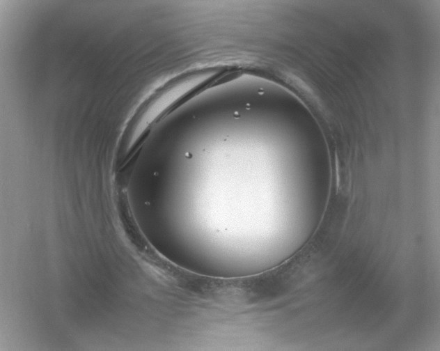 X0000054430483200508051837