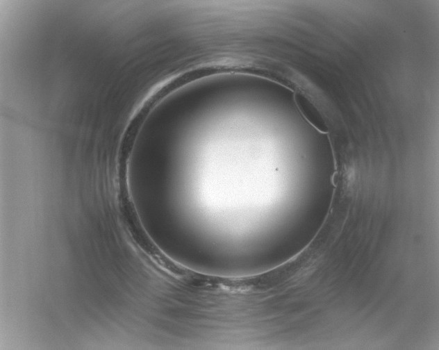 X0000054430484200508051837