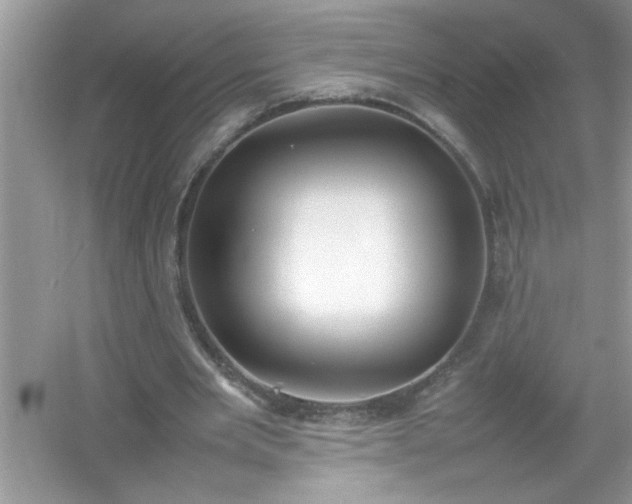 X0000054430485200508051836