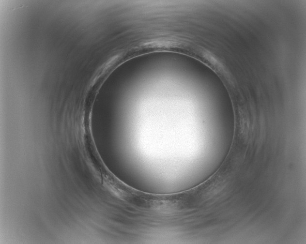 X0000054430486200508051836