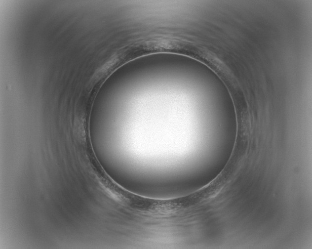 X0000054430489200508051836