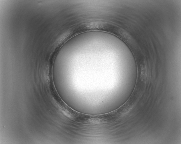 X0000054430490200508051836