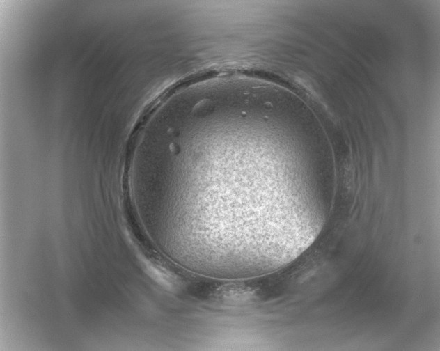 X0000054430491200508051836