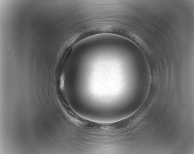 X0000054430493200508051836