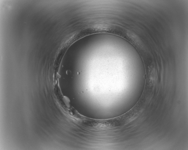 X0000054430494200508051836