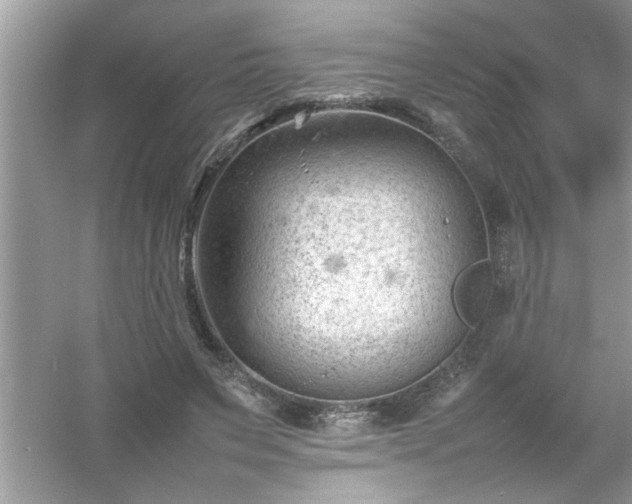 X0000054430495200508051836