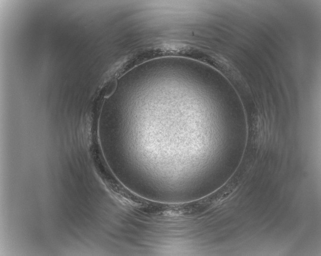 X0000054430496200508051836