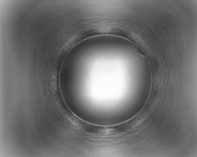 X0000054430497200508051836