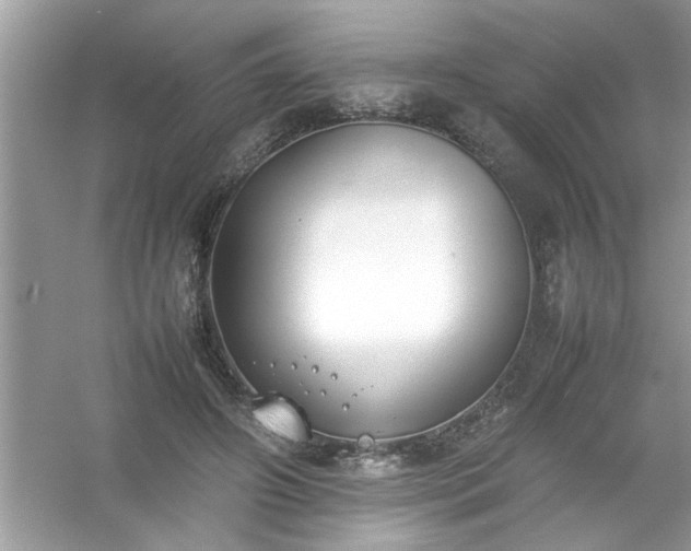 X0000054430498200508051836