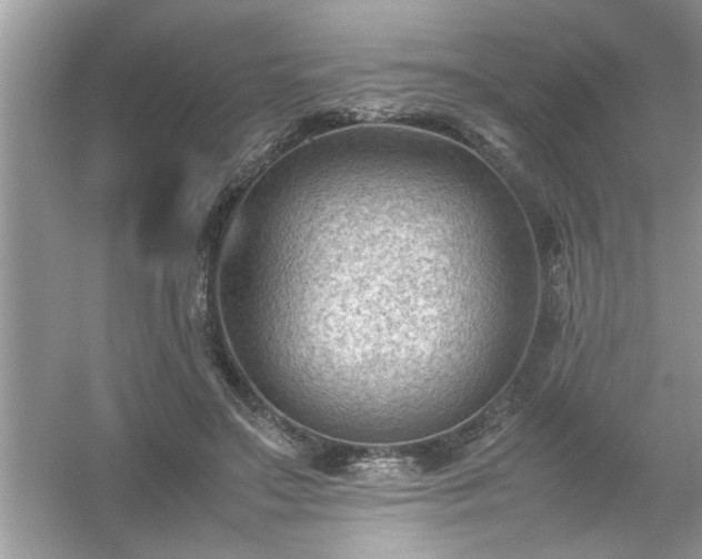 X0000054430499200508051836