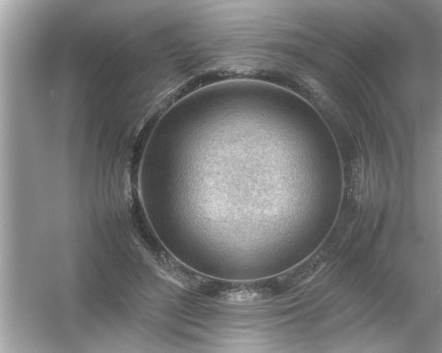 X0000054430500200508051836