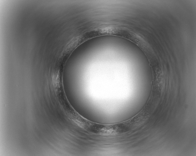 X0000054430502200508051836