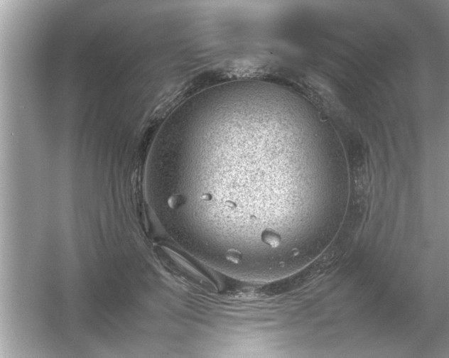 X0000054430503200508051836