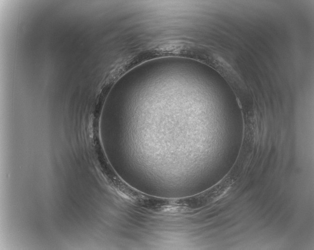 X0000054430504200508051836