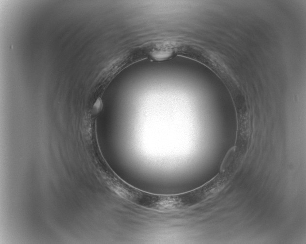 X0000054430505200508051836