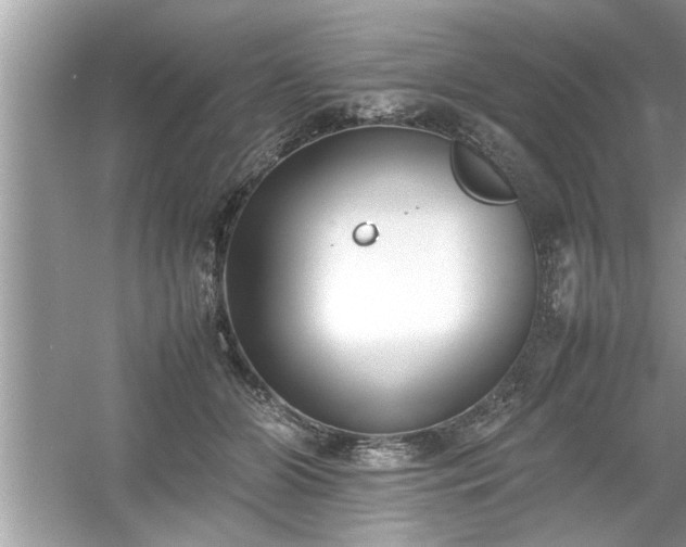 X0000054430510200508051836