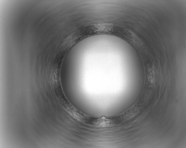 X0000054430514200508051836