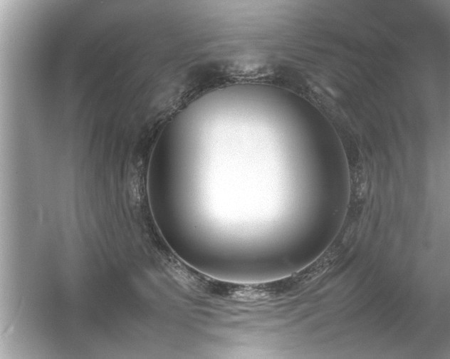 X0000054430515200508051836