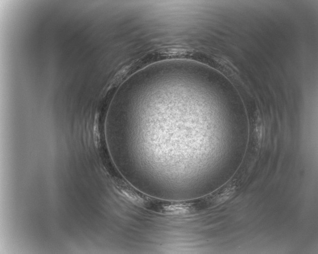 X0000054430516200508051836