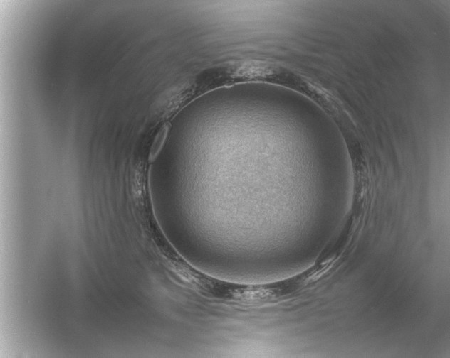 X0000054430517200508051836