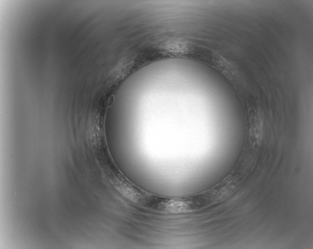 X0000054430518200508051836