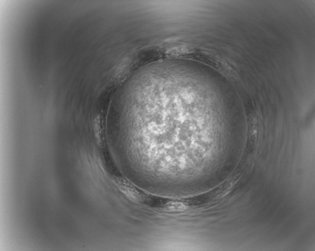 X0000054430519200508051836